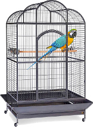 Dometop Macaw Cage