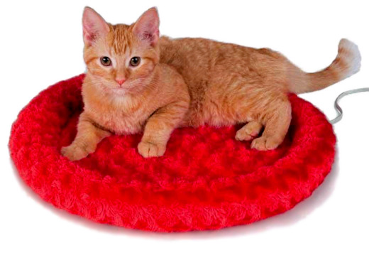 Fashion Splash Heted Cat Bed