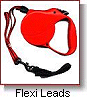 Flexi Leads