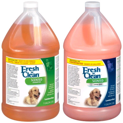 Fresh N Clean Shampoo and Conditioner
