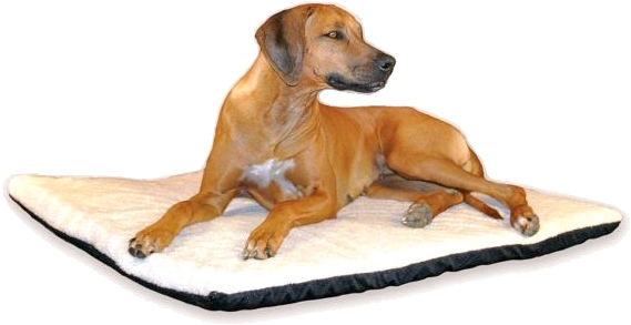 Orthopedic Thermo Cat Beds
