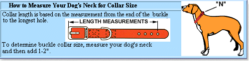 Nylon Dog Leash Sizes