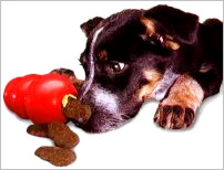 Dogs love Kong snacks and toys