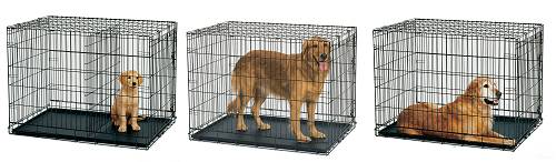Life Stages Dog Cages