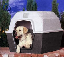 Barn Home Dog Houses