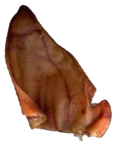 Natural Pigs Ears Dog Chews