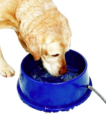 Heated Dog Water Bowls