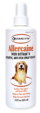 Soothe Allergies in Dogs