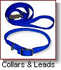 Dog Collars & Leashes