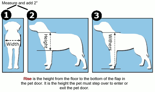 Measure your dog for a door.