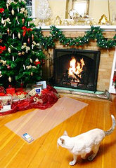 Scat Mats keep cats away from Christmas Trees