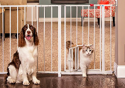 Wide Dog Gate with Small Door