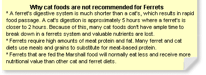 Cat Food May Be Bad For Ferrets