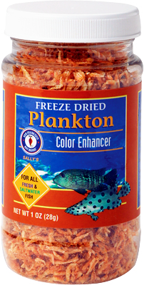 Freeze-Dried Plankton