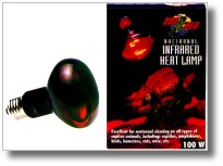 Infrared Reptile Heat