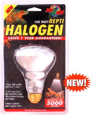 halogen lamp makes colors appear richer